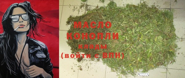 гашик Надым