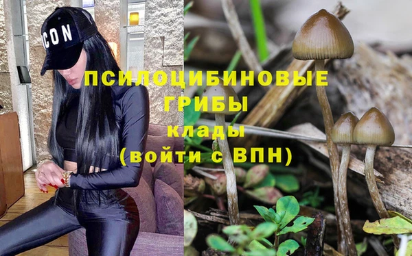 крисы Наволоки