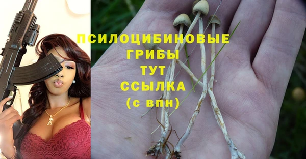 гашик Надым