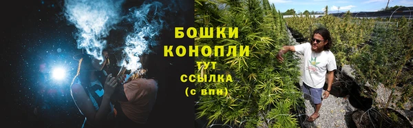крисы Наволоки