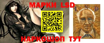 a pvp Новодвинск