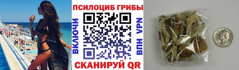 Купить где  Саянск  Галлюциногенные грибы мицелий 