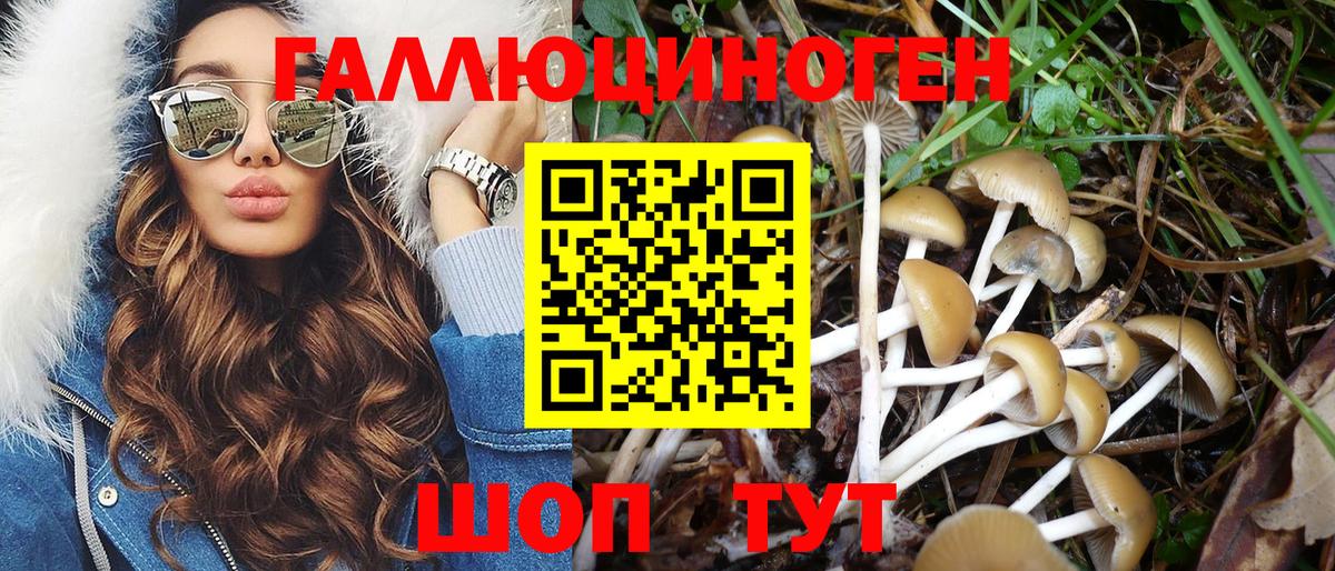 Галлюциногенные грибы мицелий Саянск