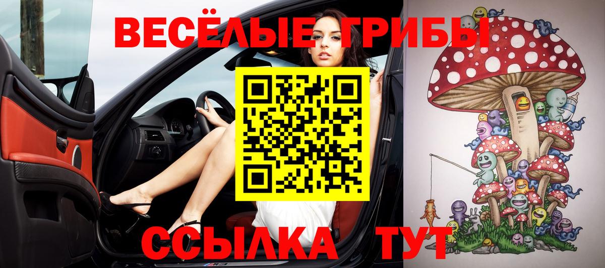 Саянск  Галлюциногенные грибы Psilocybine cubensis  Вход с VPN  Псилоцибиновые грибы Magic Shrooms 